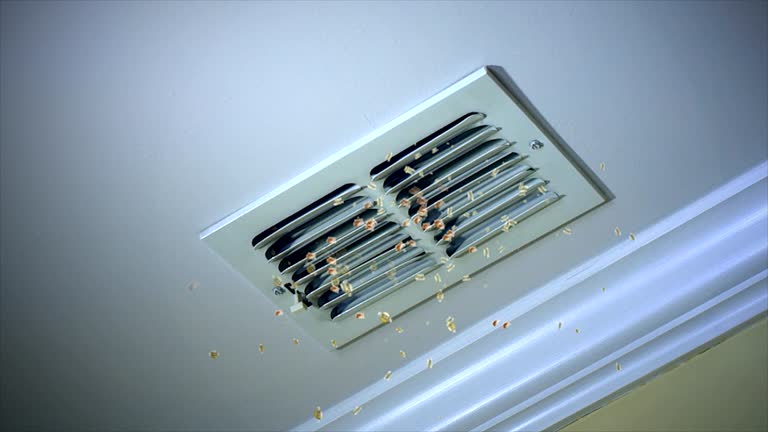 Air Duct Mold Removal in Tecumseh, NE